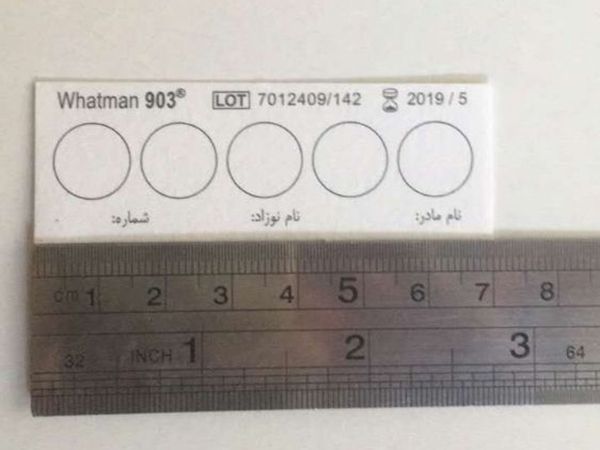 新生兒DNA采血及查詢
