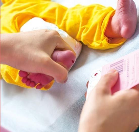 新生兒采血卡廠家解讀:新生兒篩查