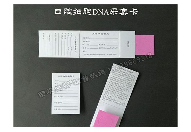 口腔細(xì)胞采集卡